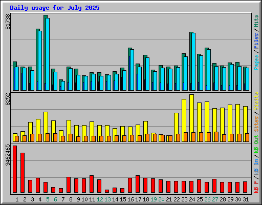Daily usage for July 2025