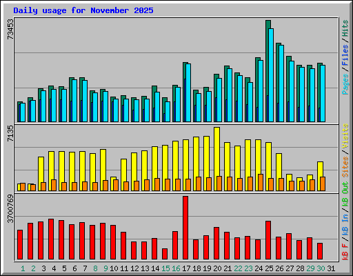 Daily usage for November 2025