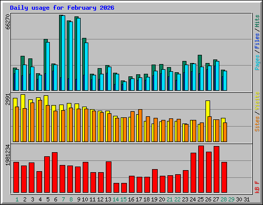 Daily usage for February 2026