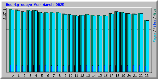 Hourly usage for March 2025