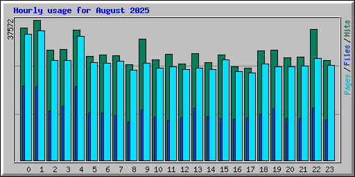 Hourly usage for August 2025