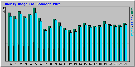 Hourly usage for December 2025