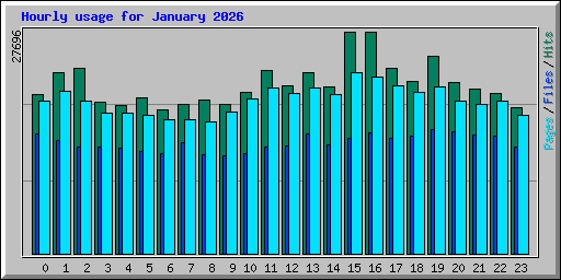 Hourly usage for January 2026
