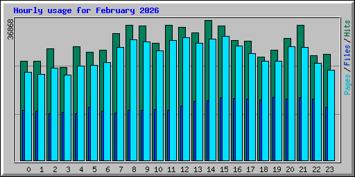 Hourly usage for February 2026