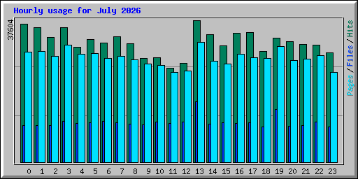 Hourly usage for July 2026